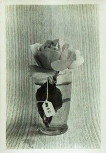 Roberto Obregón, Crónica de una rosa (N°32), ca. 1976, fotografía B/N, 10,9 x 7,2 cm. Cortesía del artista