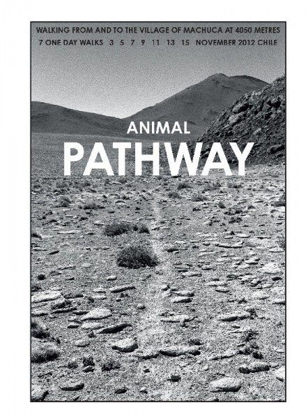 Hamish Fulton, Atacama 1234567, 2012. Imágenes cortesía de Galería Nara Roesler Atacama_pg43-442x600