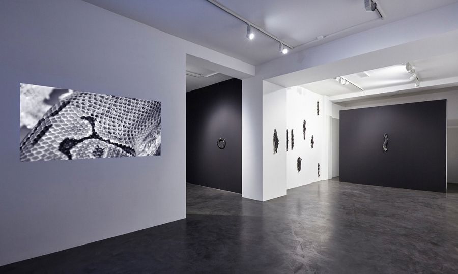 Vista de la exposición Descent, de Lucía Pizzani, en House of Egorn, Berlín, 2017. Foto: Joseph Devitt