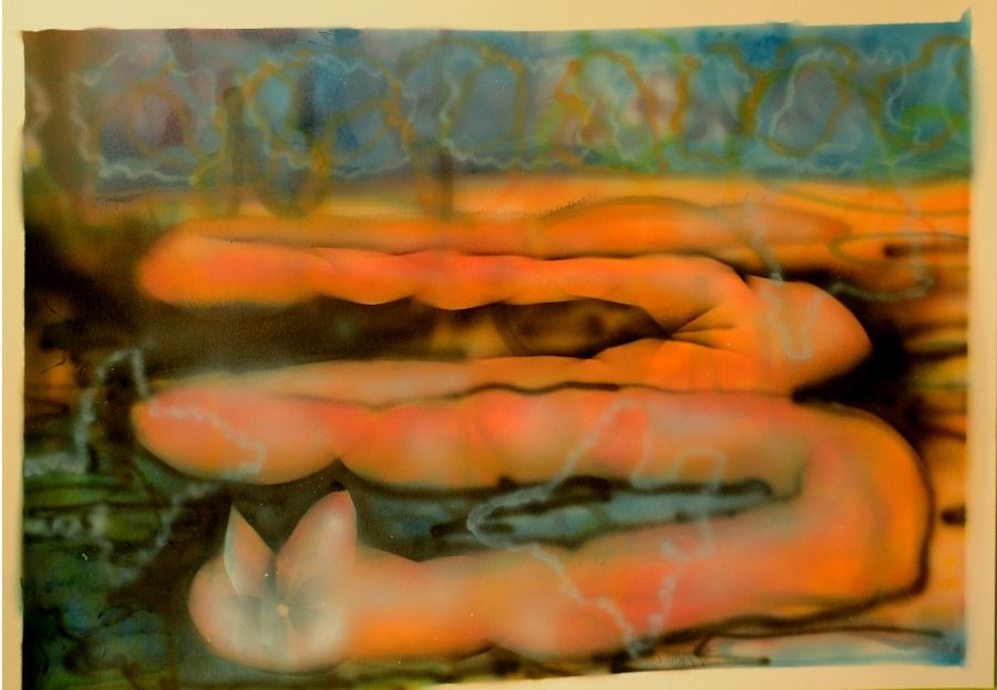 Constanza Giuliani, Gusano (de la aserie el Corazón de un mundo), 2016, aerógrafo sobre papel, 29 x 42 cm. Cortesía de la artista