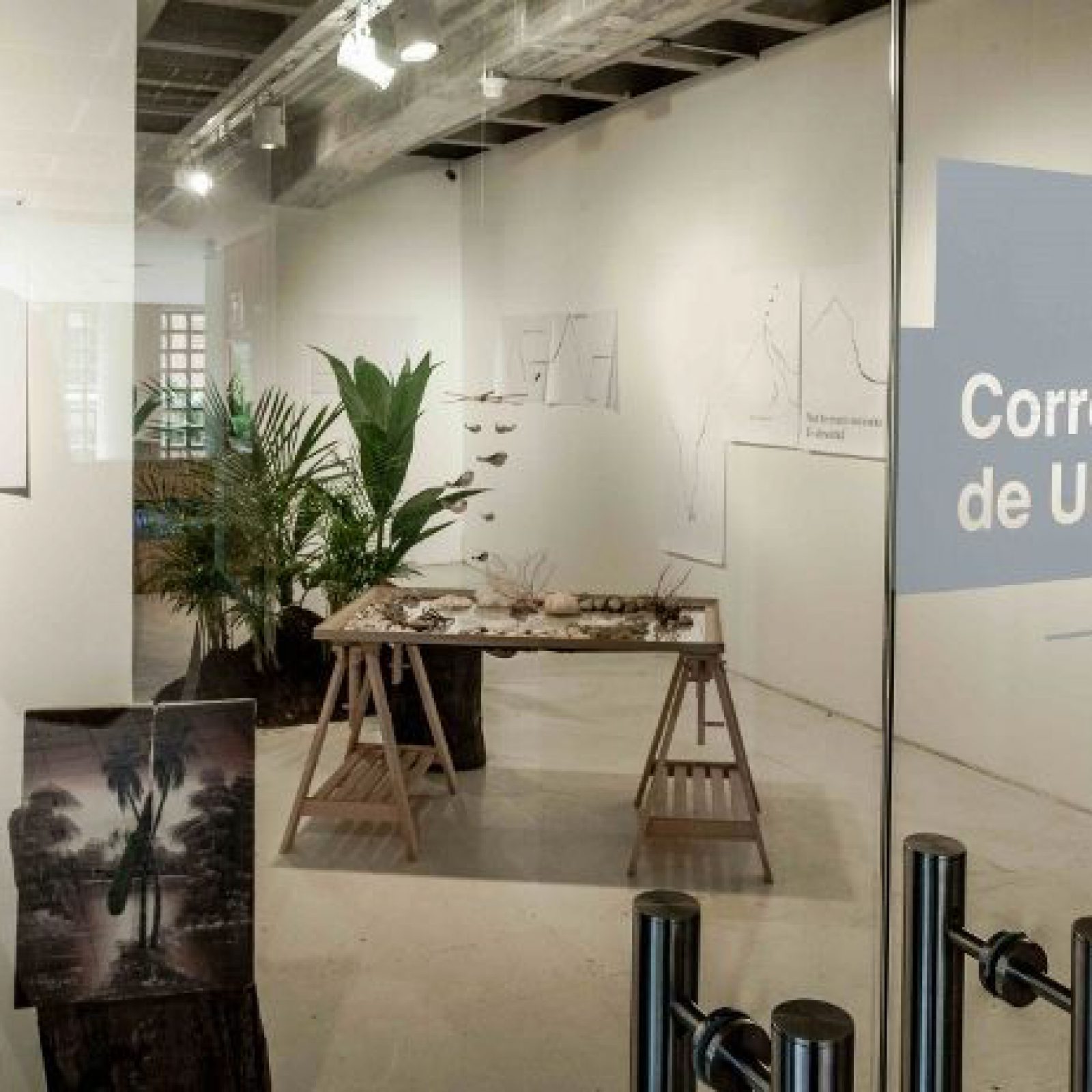Vista de la exposición "Correspondencia de Ultramar *1: Alicia Kopf y Marco Montiel-Soto", Sala Mendoza, Caracas, 2017. Foto: Ricardo Jiménez