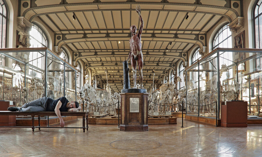 Ali Cherri, Somniculus, 2017. Galerie Imane Farès. Cortesía: LOOP FAIR 2017