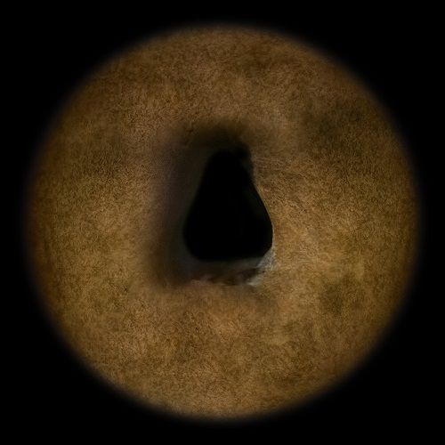 Annalaura di Luggo, Occh-IO AImp (2016), fotografía digital sobre papel Baryta, 39x39cm Foto Cortesía de la artista Annalaura di Luggo, Occh-IO AImp (2016), fotografía digital sobre papel Baryta, 39x39cm Foto Cortesía de la artista