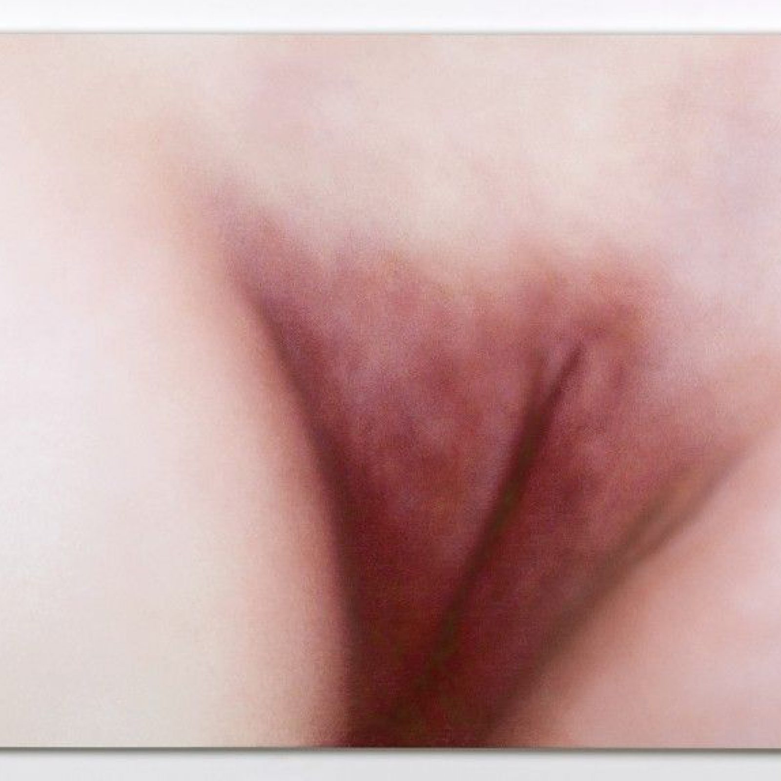Betty Tompkins, Ersatz Cunt Painting 1, 2016, acrílico en foto digital sobre lienzo, 131,4 x 213,4 cm. Cortesía de la artista y VENUS, Los Angeles
