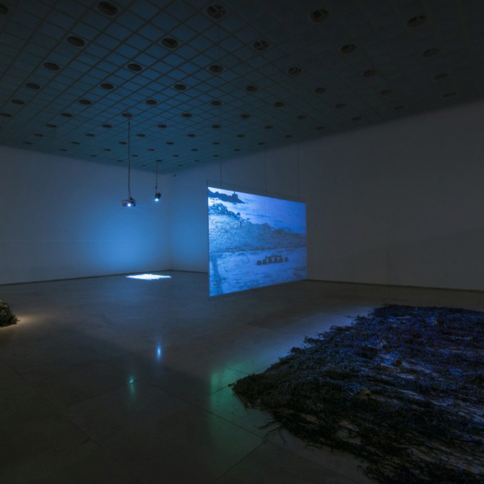 Vista de la exposición "Continuum", de Cata González, Galería Patricia Ready, Santiago de Chile, 2017. Cortesía de la artista