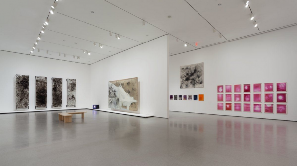 Vista de la exhibición Alibis: Sigmar Polke 1963-2010 © 2014 The Museum of Modern Art, NY. Foto: Jonathan Muzikar