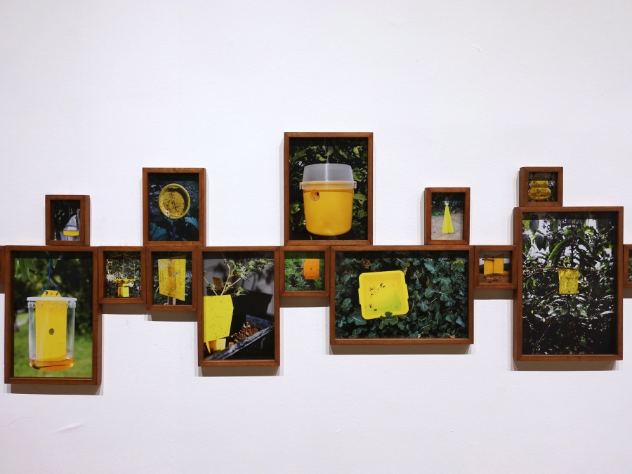 Trampas Cromáticas, de Ilich Castillo. Vista de la exposición "Objeto Diferido",en el Centro de Arte Contemporáneo (CAC), Quito, 2017-2018. Cortesía del artista