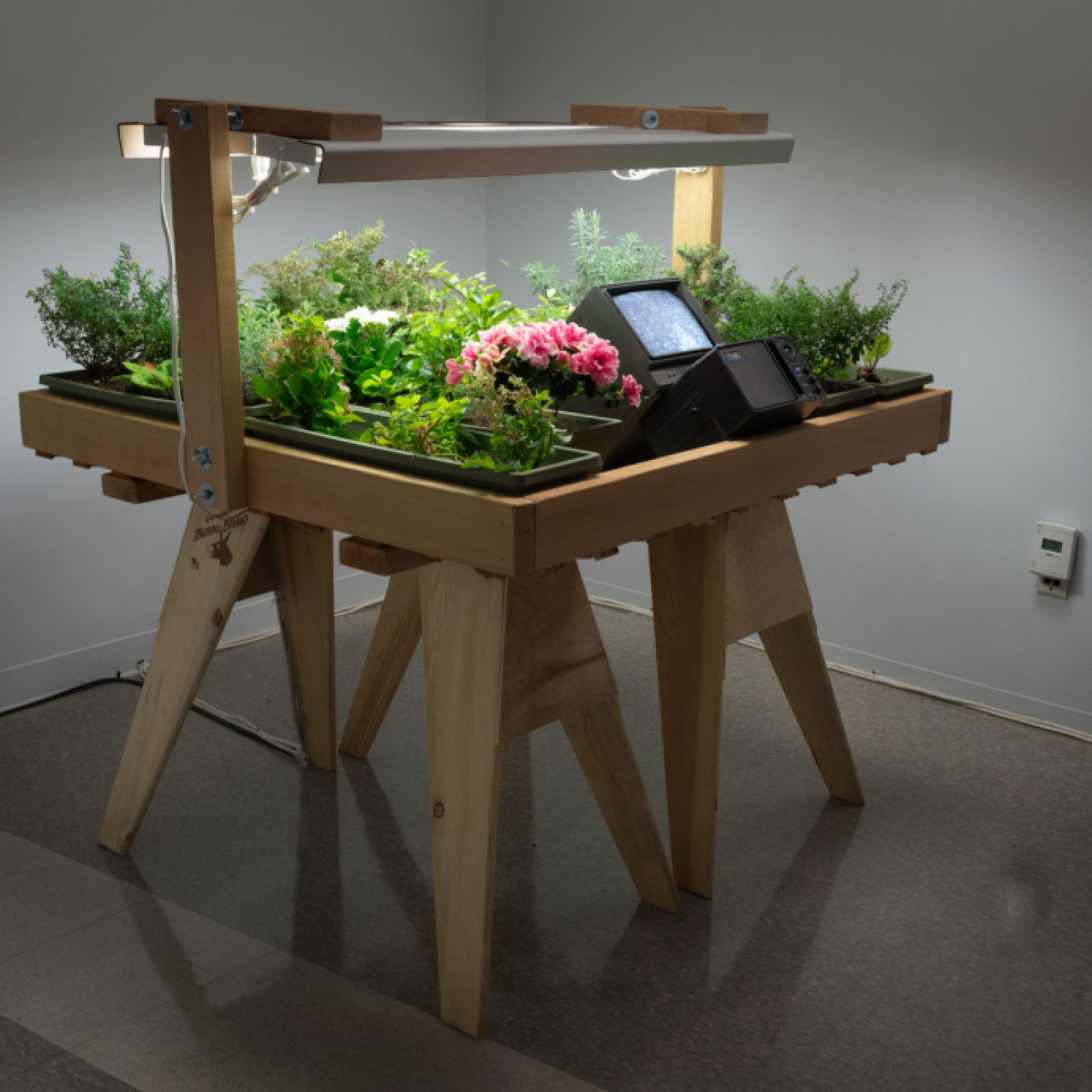 Vista de la exposición “Juan Downey: Radiant Nature”, en Pitzer College Art Galleries, Claremont, California, 2017. Cortesía: The Estate of Juan Downey. Foto: Robert Wedemeyer