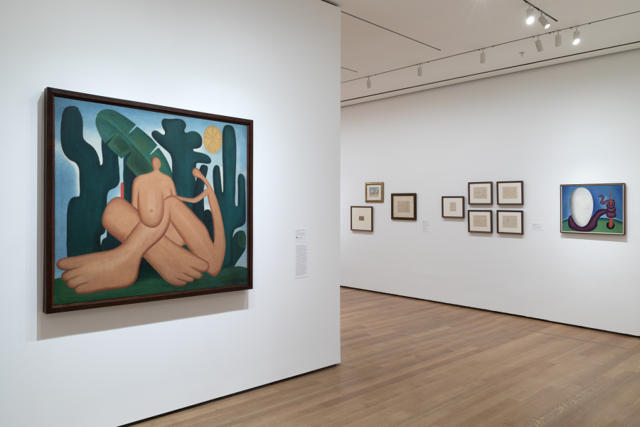 Vista de la exposición "Tarsila do Amaral: Inventing Modern Art in Brazil", The Museum of Modern Art, Nueva York, 2018. © MoMA. Foto: Robert Gerhardt
