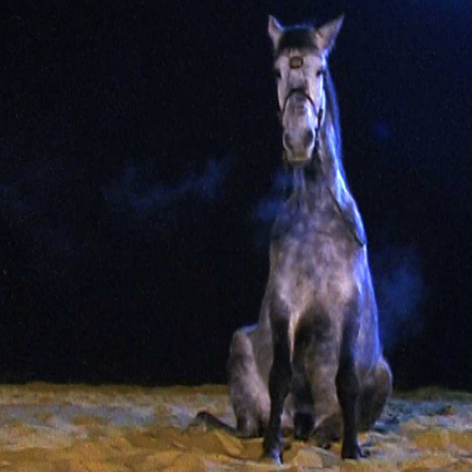 Carolina Saquel, Pentimenti, 2004. Cortesía de la artista.