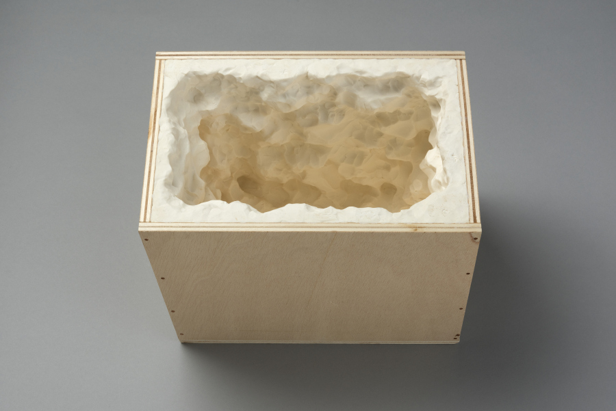 Marlon de Azambuja, Pensamientos Húmedos, 2015, Caja de madera y pasta de modelar, 40 x 40 x 40 cm. Foto: Jorge Brantmayer