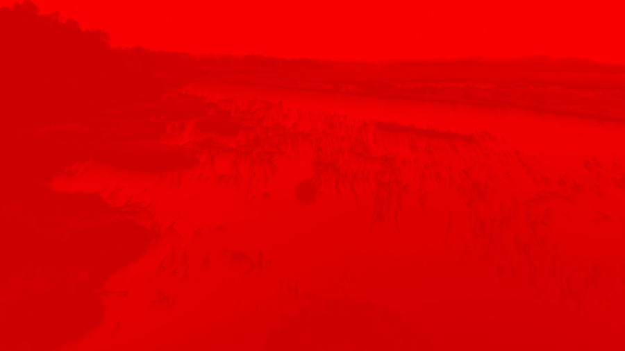 Nicolás Rupcich, Chepu, 2018, video HD, audio stereo, 8:33 min. (Operador drone: Jesús Soto, Asistente: Cristóbal Concha). Imágenes de un bosque muerto sumergido en Chiloé, que funcionan como antítesis a la representación comercial del paisaje. Cortesía del artista