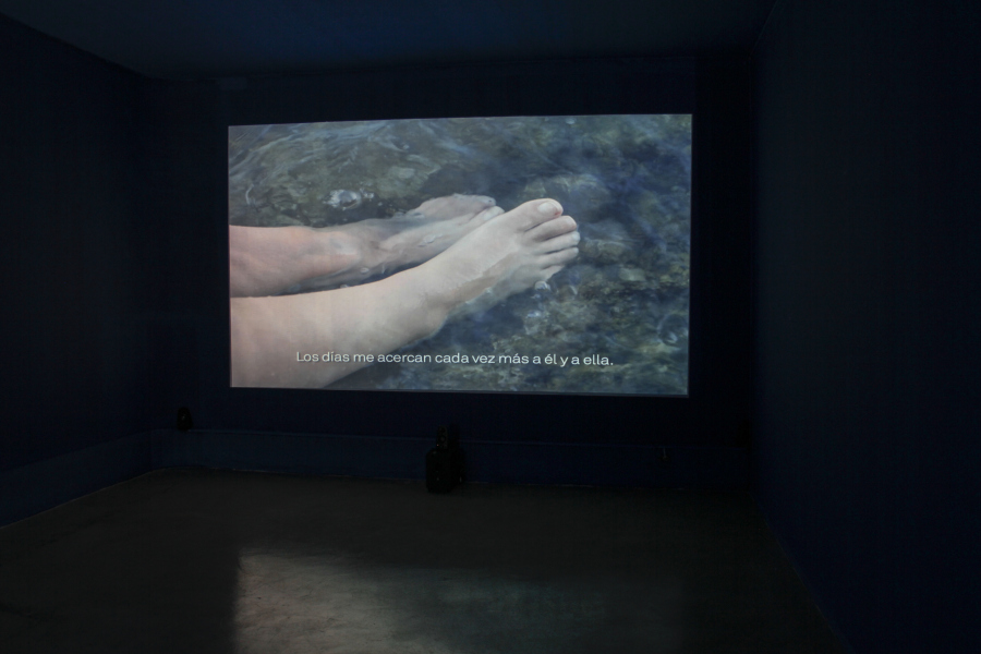Carlos Motta, Deseos / رغبات (Deseos), video instalación, 2015. Cortesía del artista y CAC
