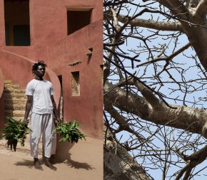 Ayrson Heráclito, Sacudimento, fotografía (registro del performance en la isla de Gorea, Senegal, 2015). Díptico I. Cortesía del artista