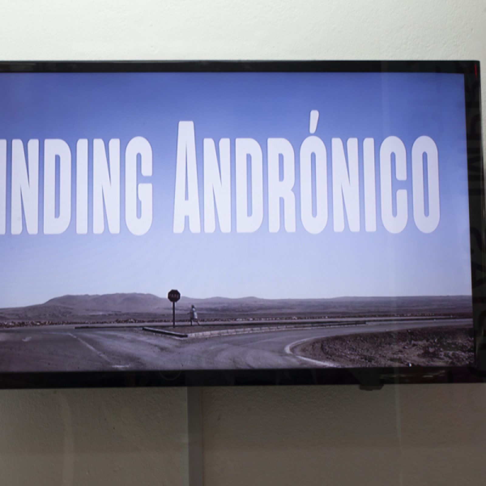 Juana Guerrero, Finding Andrónico, 2018. Vista de la exposición en Huérfanos 1373, vitrina local 25, Santiago de Chile. Foto: Marcela González