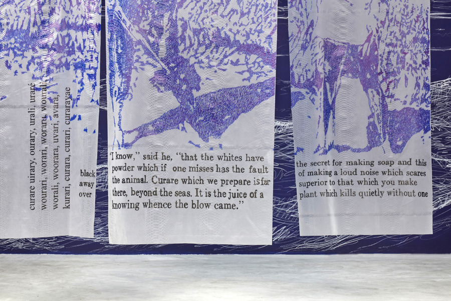 Nicole Franchy, detalle de la instalación “Amo del Curare”, 2018, tres dibujos sobre vinyl transparente, 180 x 65cm c/u. Piezas únicas. Cortesía de la artista