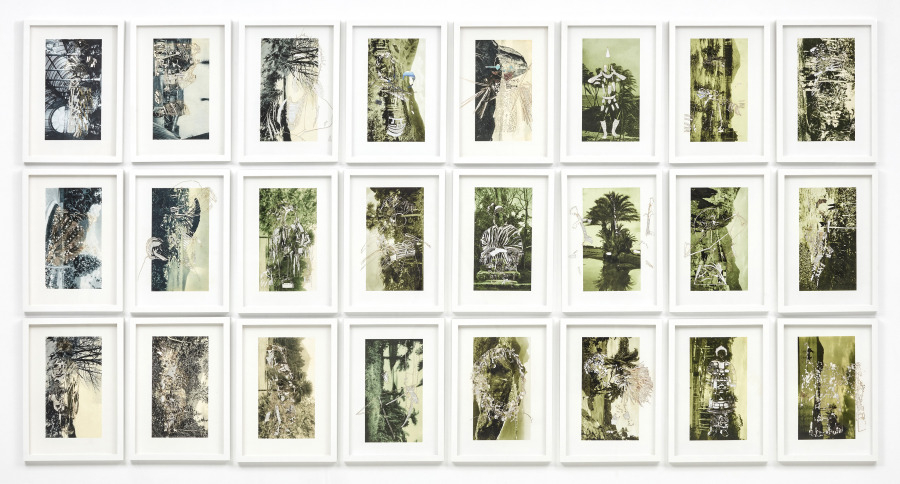 Nicole Franchy, Serie Vacío Tropical, 2018, collage, corte láser sobre impresión en papel de algodón y material enciclopédico, 48 x 32 cm c/u. Pieza única. Cortesía de la artista
