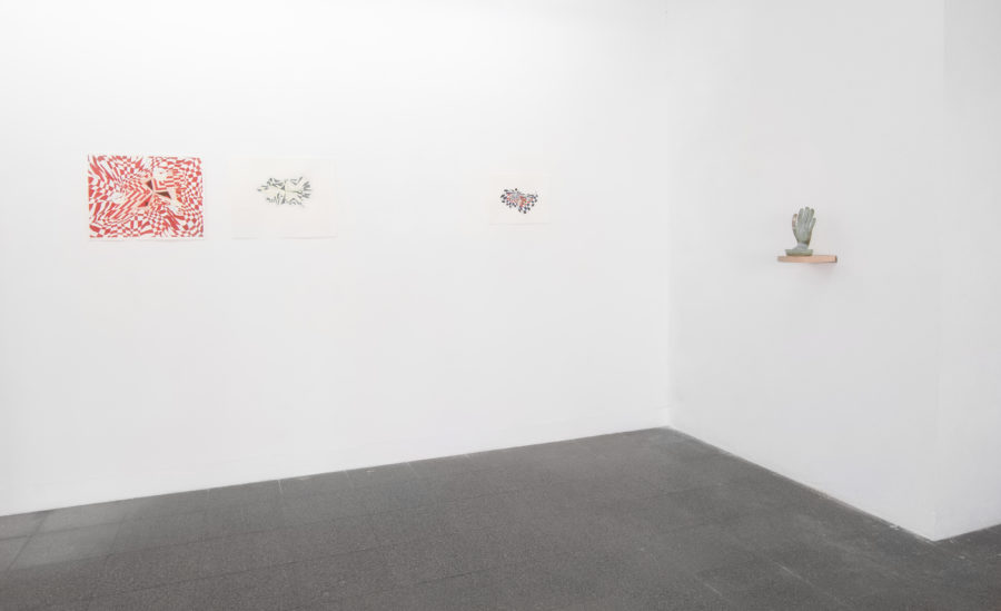 Nayda Collazo-Llorens en la exposición Un hecho de diferencias, Ana Mas Projects, Barcelona, 2018. Foto: Diana Rangel. Cortesía de la galería