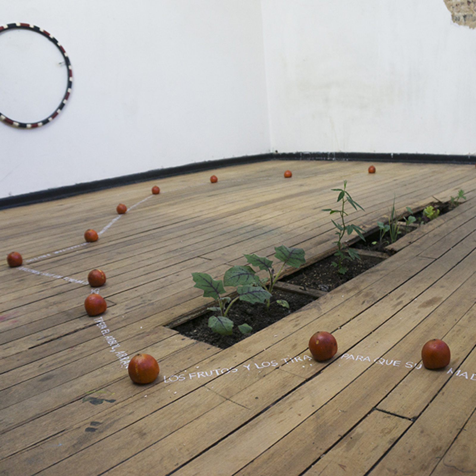 Vista de la exposición "Mercadería Justo x Bueno", Bogotá, 2018. Cortesía: Central de Abasto/Justo x Bueno