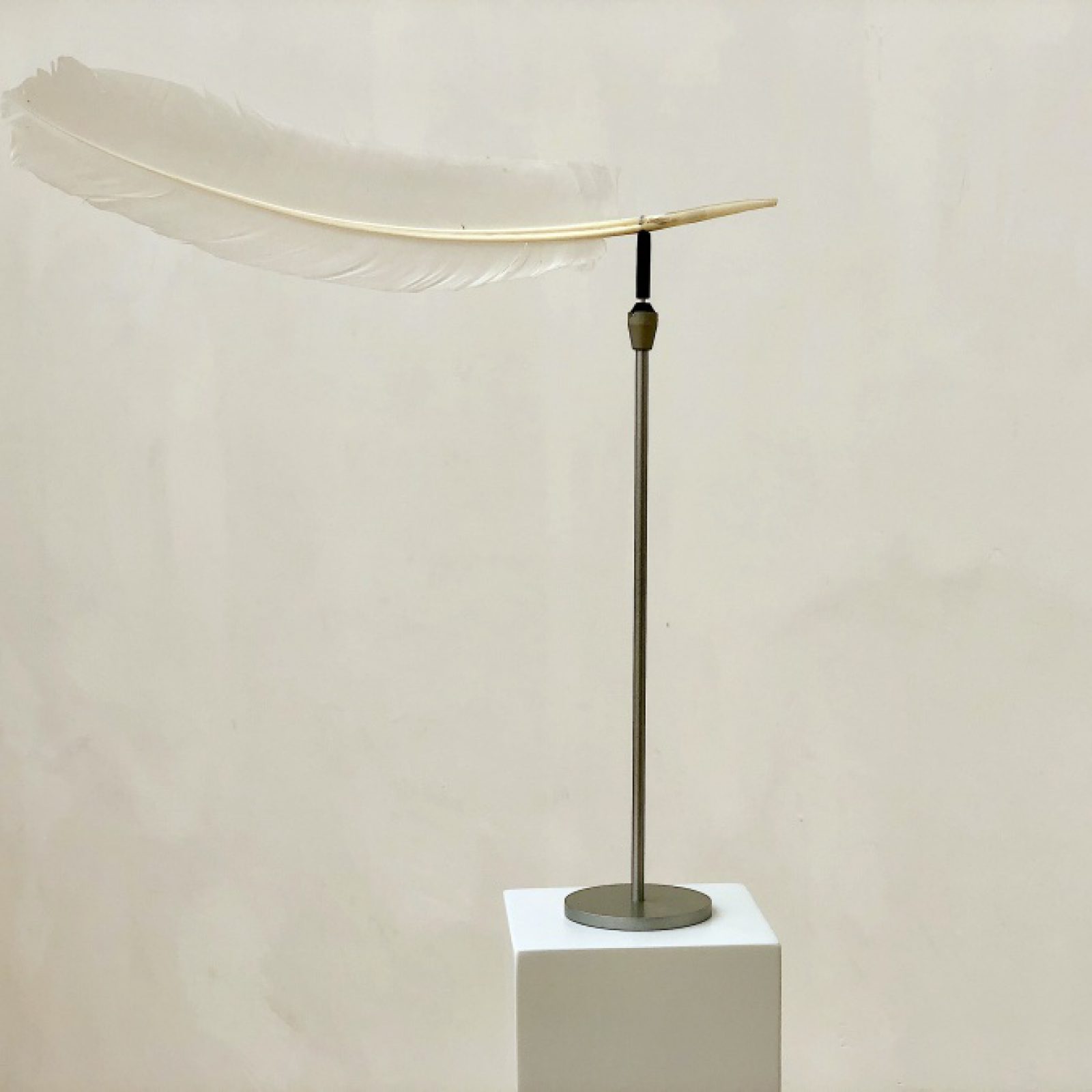 Manuela Ribadeneira, Sobre la dirección en la que sopla el viento, 2009, plumas y veletas, instalación, 29 x 30 cm c/u (sin base). Foto: Rodolfo Kronfle