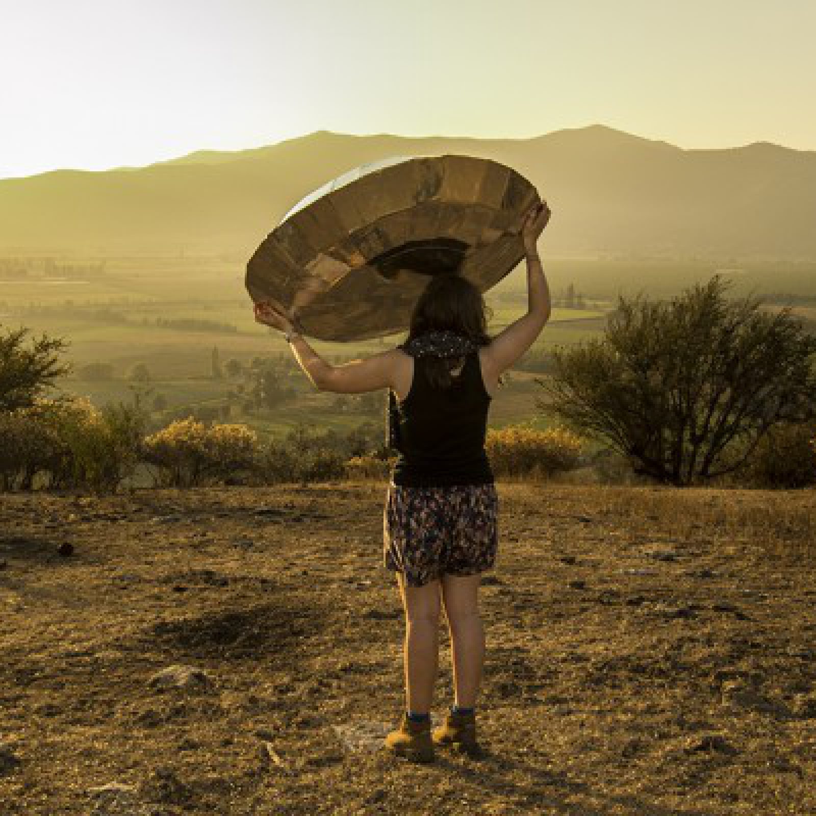 Pilar Quinteros, Leviathan de los Desiertos, el Volátil desconocido, 2013, video, modelos a escala