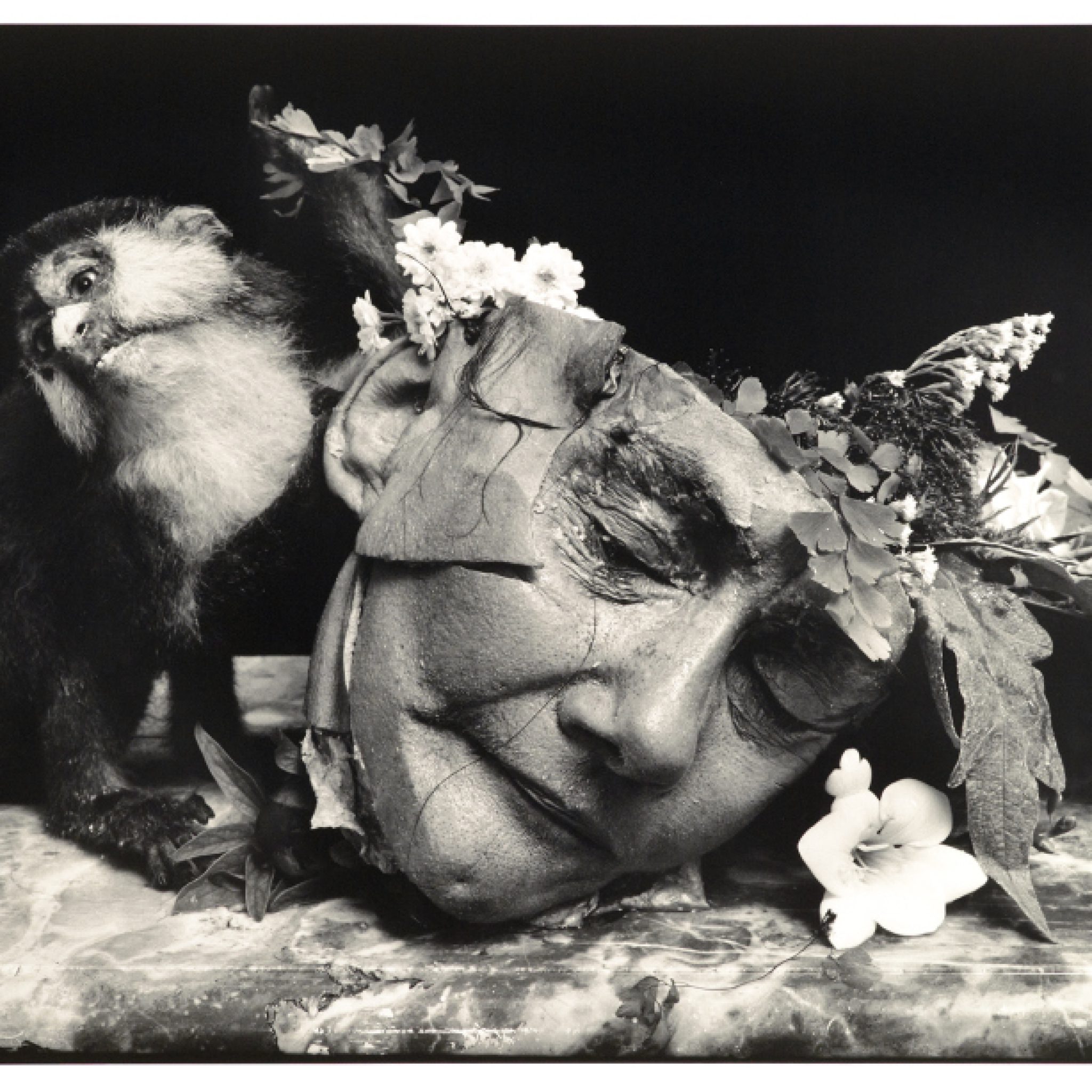 All 98+ Images joel-peter witkin photos Completed