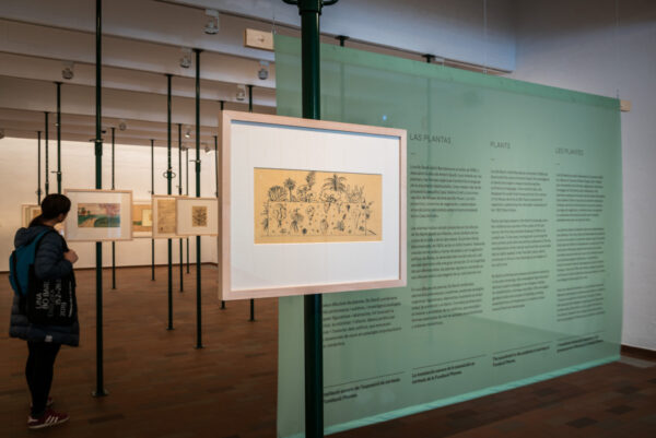 Vista de la exposición “Lina Bo Bardi dibuja”. © Fundació Joan Miró, Barcelona, 2019. Foto: Pep Herrero