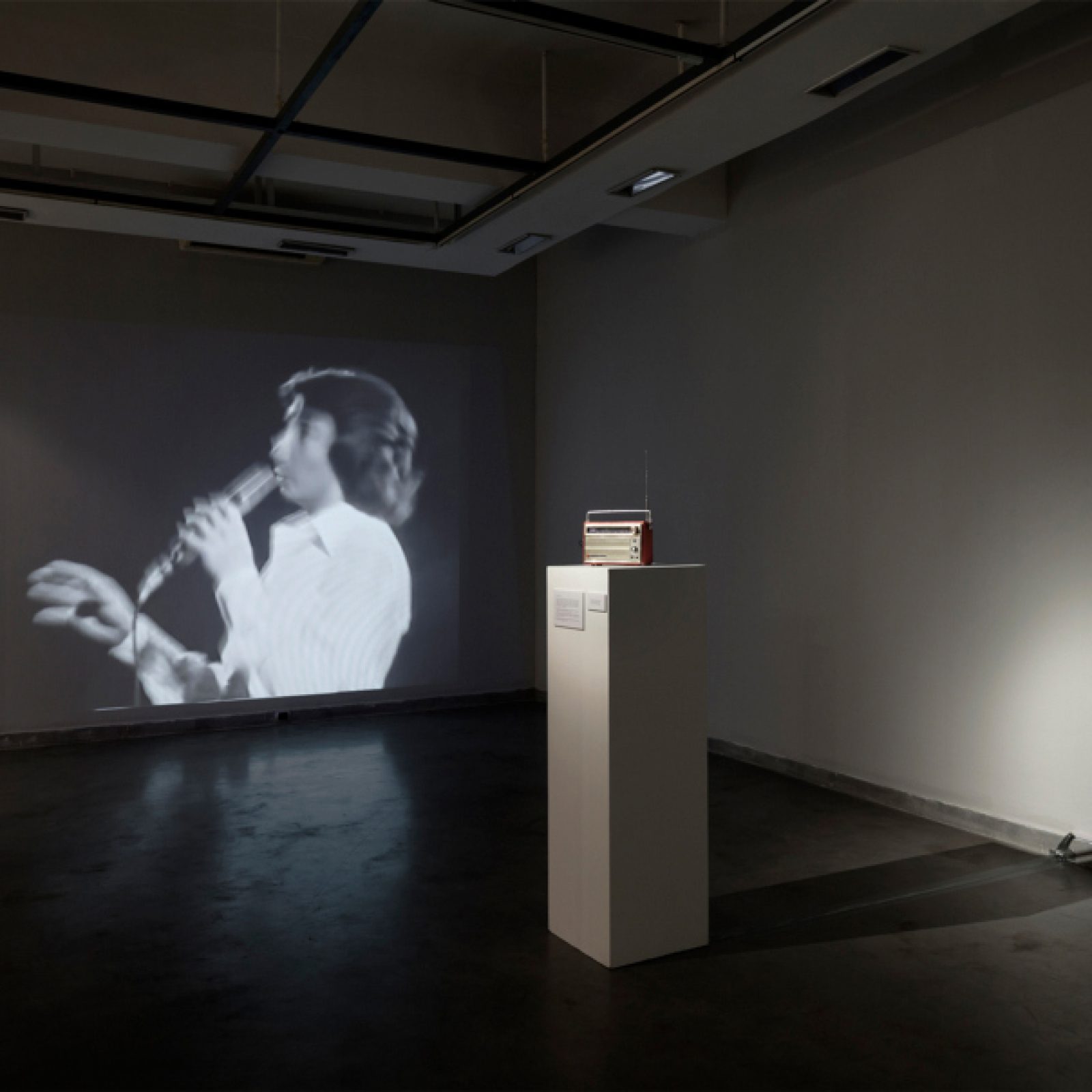 Rudolph Castro, Libre, 2013. Cortesía del artista