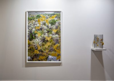Mazenett Quiroga (Colombia), en Instituto de Visión (Bogotá), Art Dubai Residents, Art Dubai 2019. Cortesía: Photo Solutions