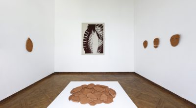 Vista de la exposición Coraza, de Lucía Pizzani, en la Fundación Marso, Ciudad de México, 2019. Foto: Raúl Raya. Cortesía Fundación Marso