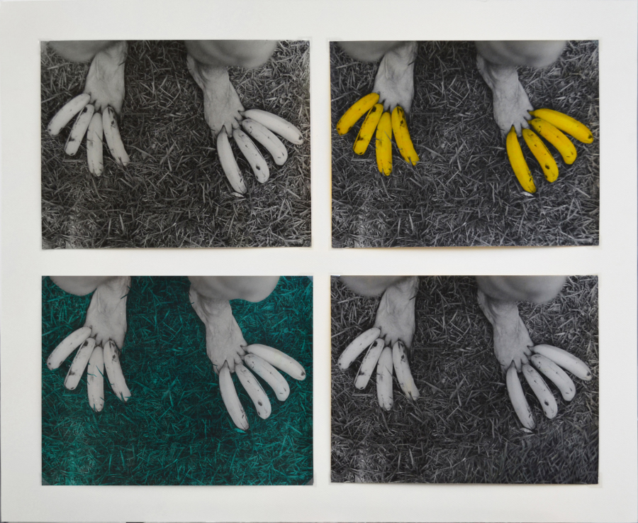 Victoria Cabezas, Sin título (Untitled), 1973, políptico, copia a la gelatina de plata coloreada a mano, 65 × 80 cm. Colección privada. Foto: Daniela Morales Lisac