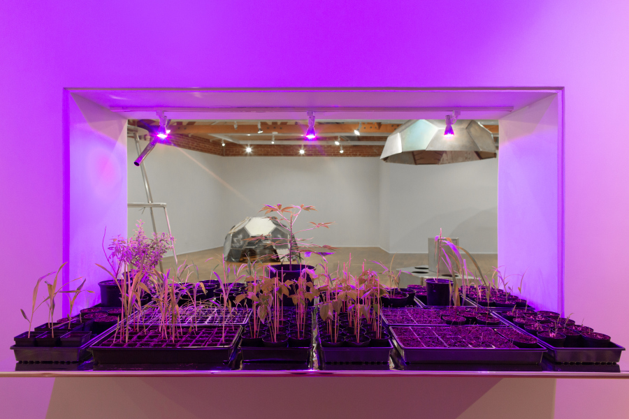 Beatriz Cortez, Trinidad: Joy Station (installation view at Craft Contemporary), 2019. Courtesy of the artist and Commonwealth and Council, Los Angeles / Photo: Gina Clyne.