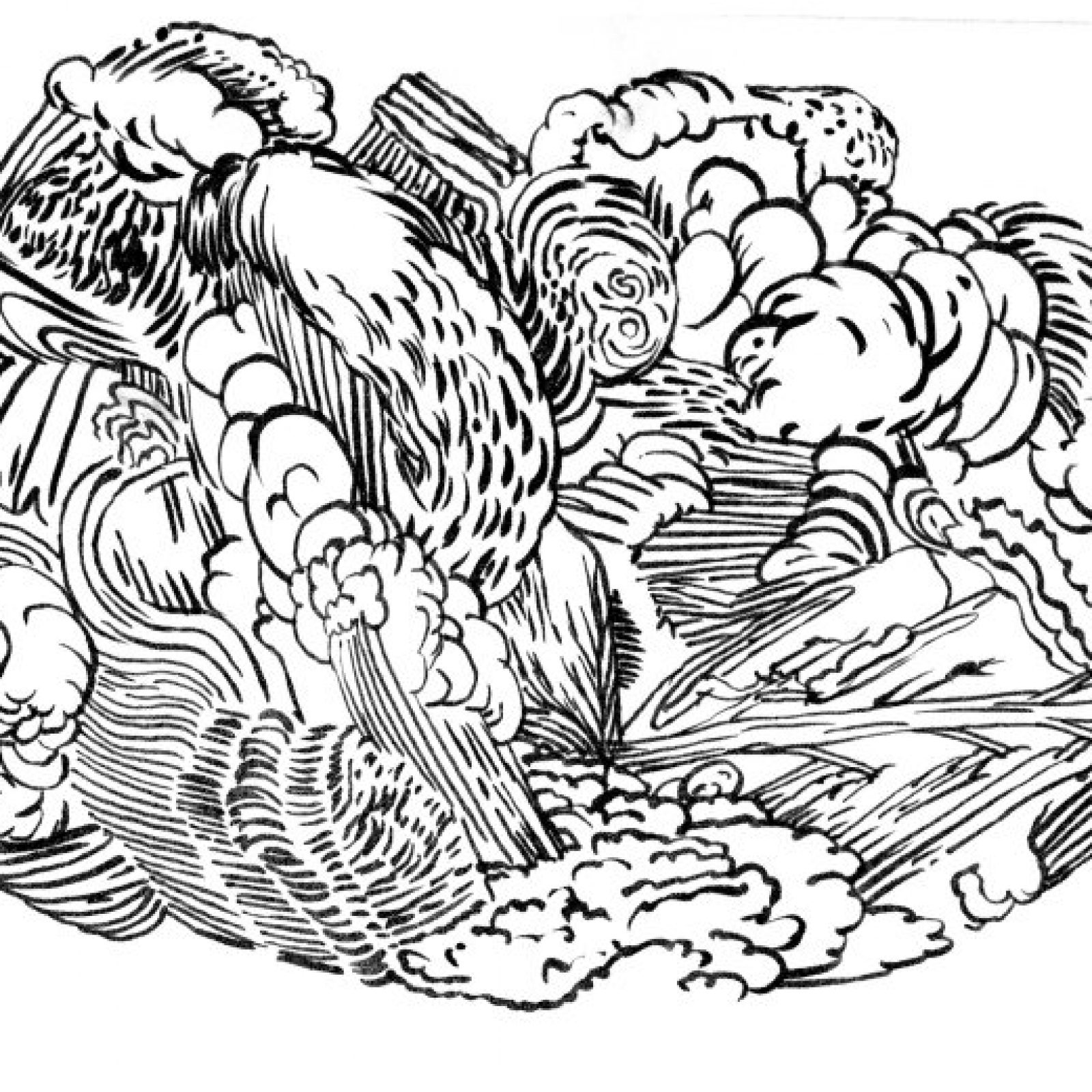 Ilustración por Joaquín Cociña