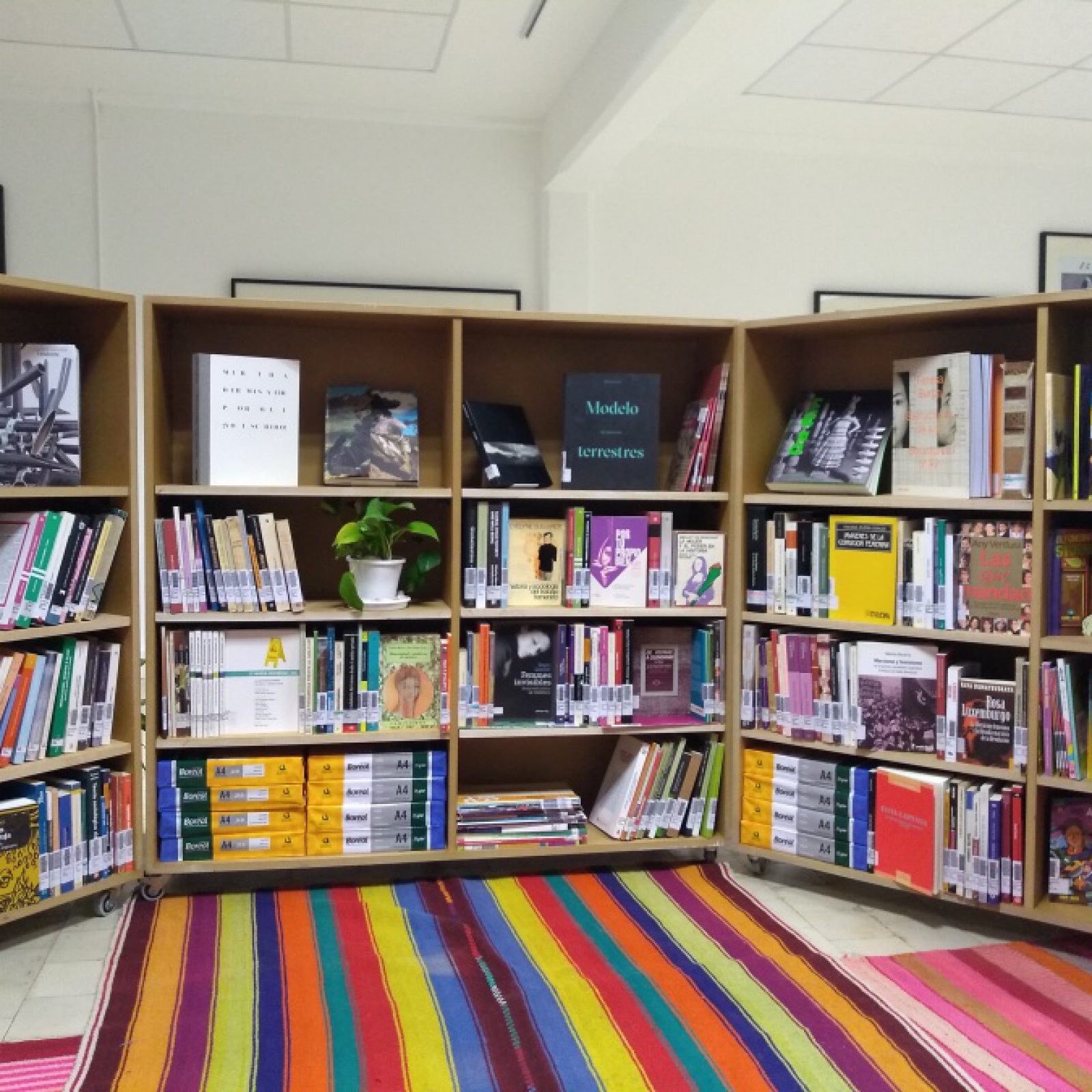 "Puede que esta vez sea diferente", una versión de la Biblioteca Martha Rosler hecha especialmente para Argentina, en MUNTREF, Buenos Aires, 2019. Foto: Alejandra Villasmil