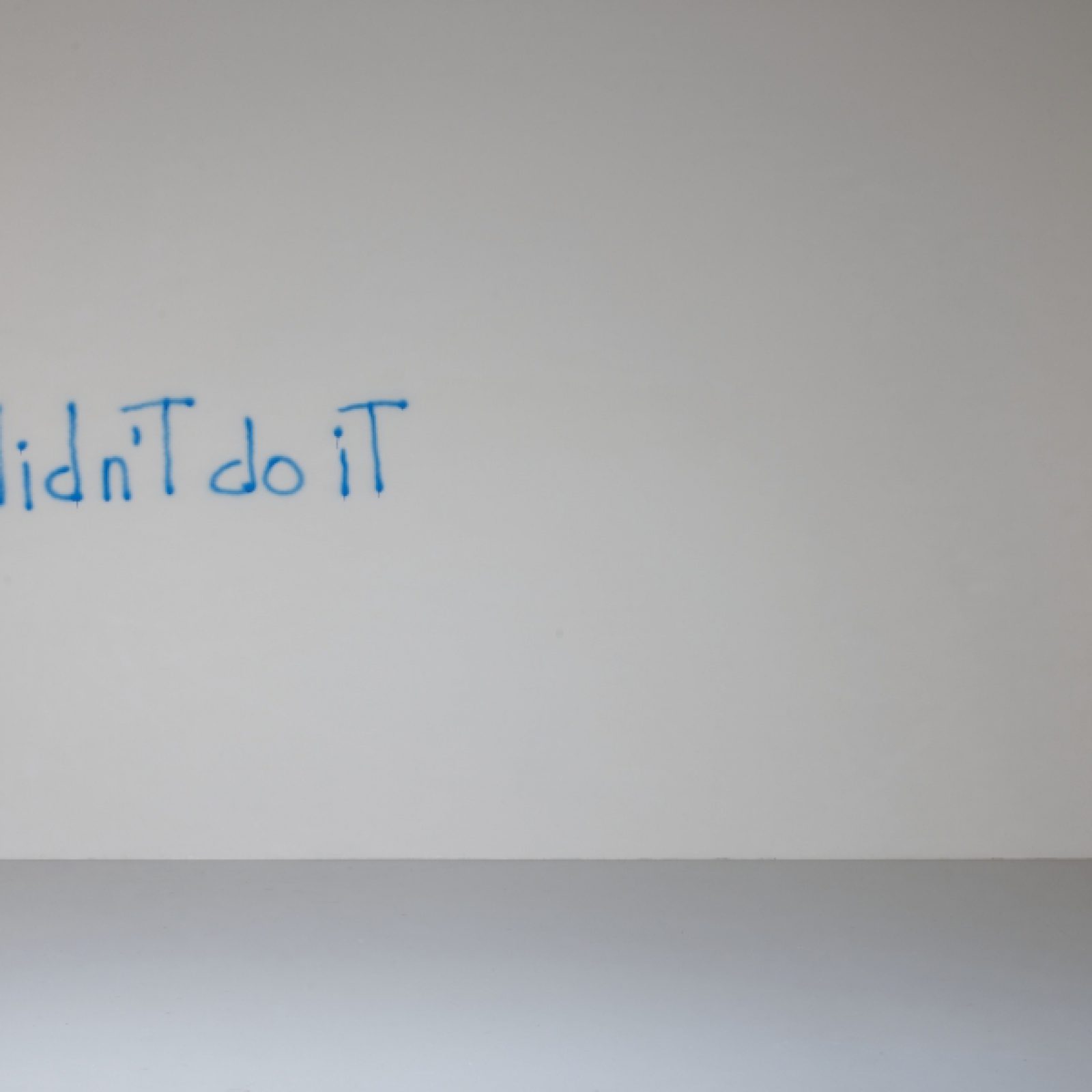 Ria Pacquée, I didn't do it, 2016. Courtesy of the artist. Installation view at M HKA