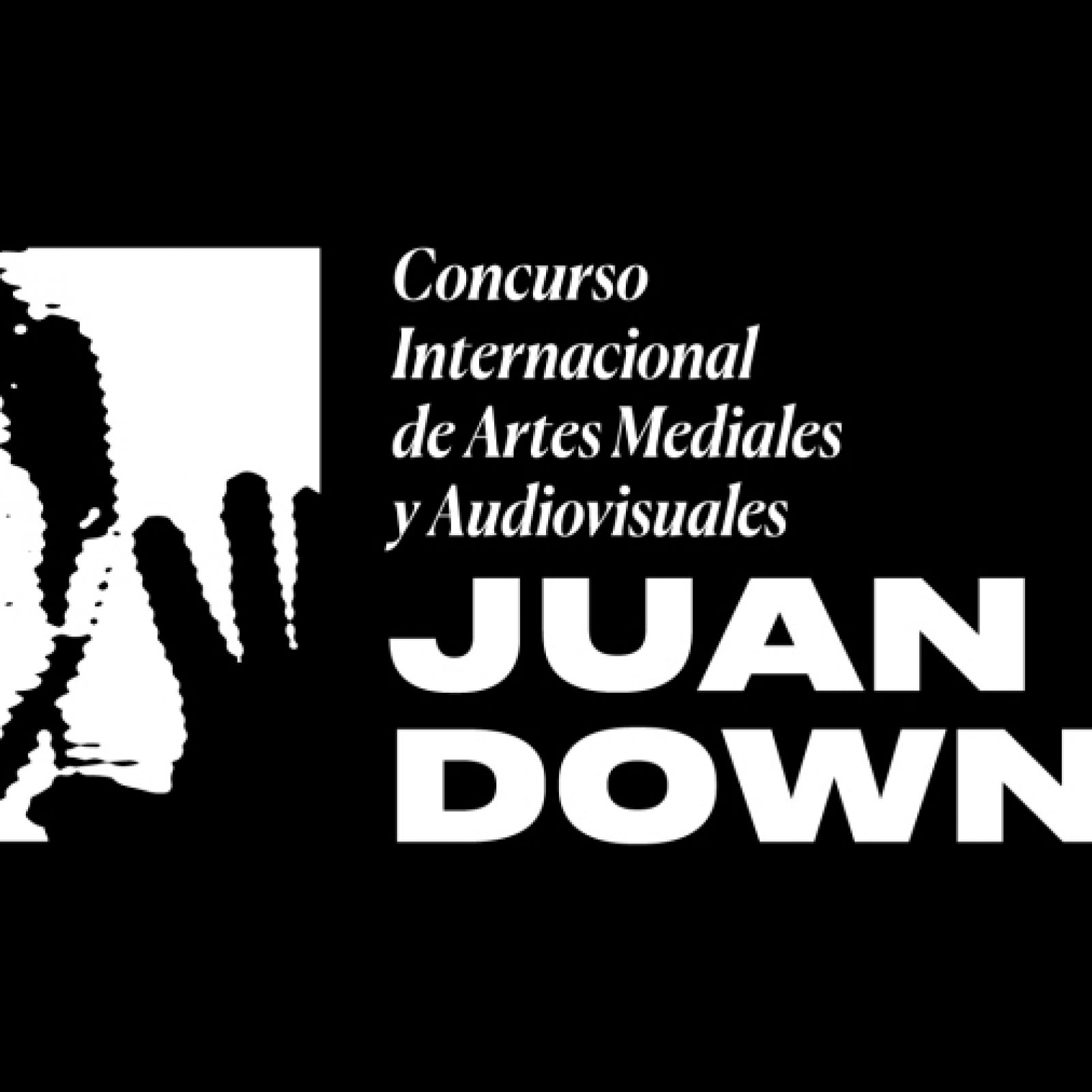 Concurso Juan Downey, Chile