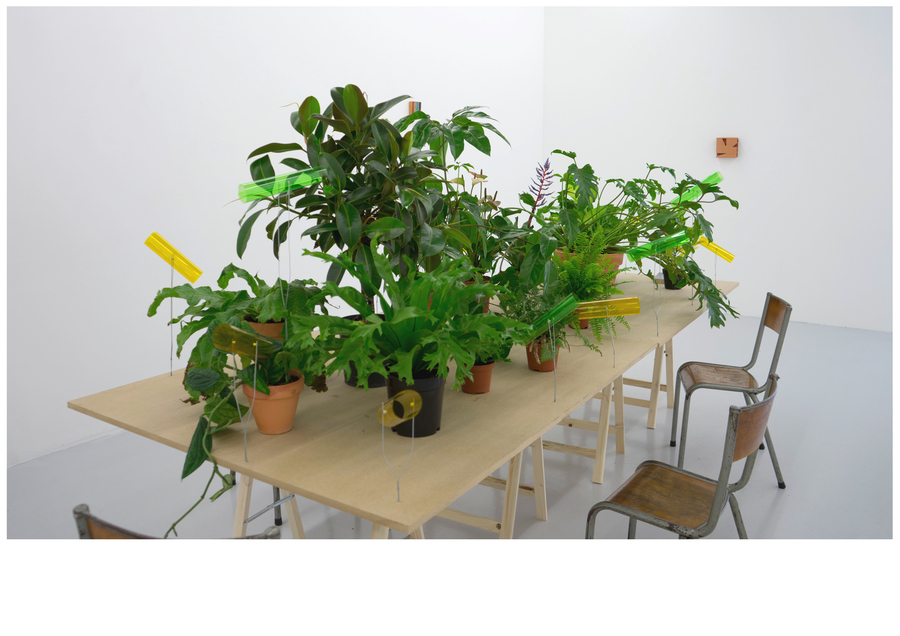 Vista de la exposición "Talking to the plants", de Óscar Abraham Pabón, Martin van Zomeren, Amsterdam, 2019. Cortesía del artista y la galería