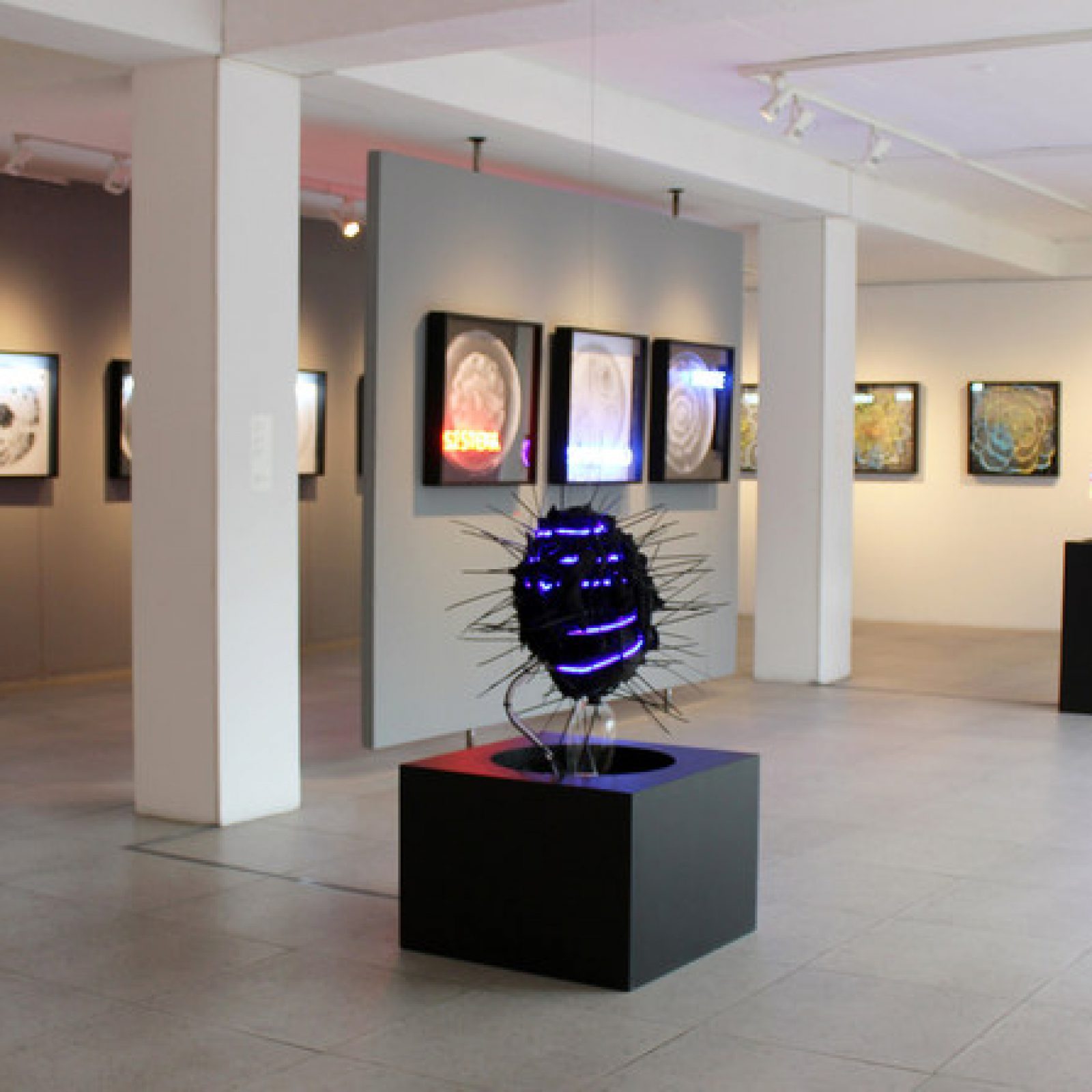 Vista de la exposición "Padece", de Máximo Corvalán-Pincheira, en Galería Artespacio, Santiago de Chile, 2019. Cortesía del artista y Artespacio