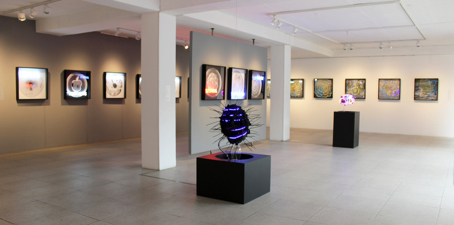 Vista de la exposición "Padece", de Máximo Corvalán-Pincheira, en Galería Artespacio, Santiago de Chile, 2019. Cortesía del artista y Artespacio