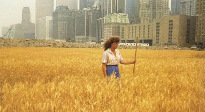 Agnes Denes, Wheatfield—A Confrontation. Two acres of wheat planted and harvested by the artist on the Battery Park landfill, Manhattan, Summer 1982. Commissioned by Public Art Fund. Photo by John McGrall. Courtesy the artist and Leslie Tonkonow Artworks + Projects.