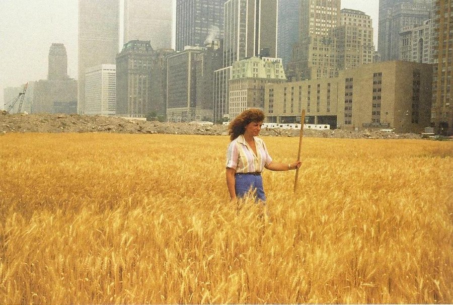 Agnes Denes, Wheatfield—A Confrontation. Two acres of wheat planted and harvested by the artist on the Battery Park landfill, Manhattan, Summer 1982. Commissioned by Public Art Fund. Photo by John McGrall. Courtesy the artist and Leslie Tonkonow Artworks + Projects.