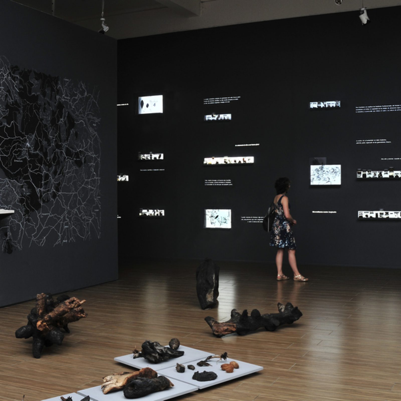 Vista de la exposición "La reinvención del territorio", de Alicia Villarreal, en el Centro Nacional de Arte Contemporáneo Cerrillos, Santiago de Chile, 2019. Foto: Jorge Brantmayer