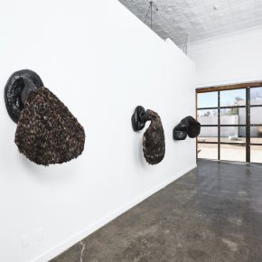 Solange Pessoa, installation view of Ão - Ão, 2017. Courtesy the artist, Ballroom Marfa, Mendes Wood DM, Blum & Poe. Photo by Alex Marks