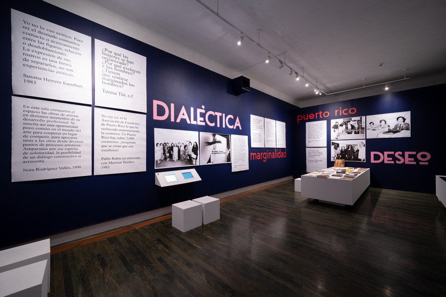 Vista de la exposición “Anarquía y dialéctica en el deseo…” en el Museo de Arte Contemporáneo de Puerto Rico, San Juan, 2020. Cortesía del museo. 