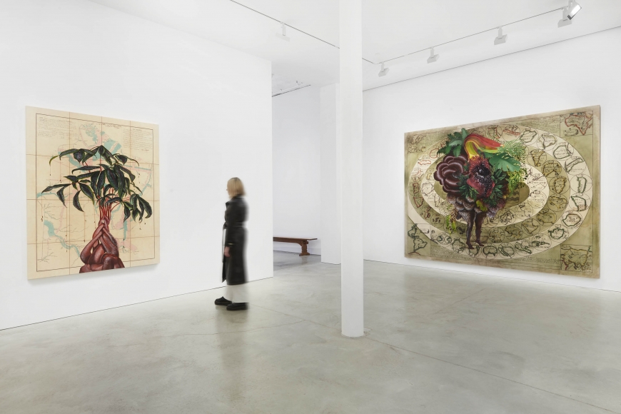Vista de la exposición de Firelei Báez en James Cohan Gallery, Nueva York, 2020. Foto cortesía de la galería