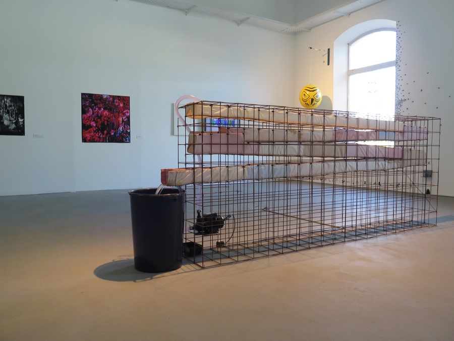 Vista de la exposición "Las formas del caos", en EAC (Espacio de Arte Contemporáneo), Montevideo, 2020. Cortesía de los artistas