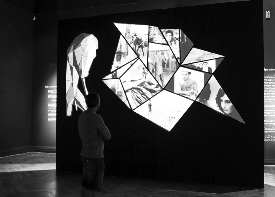 Raúl Miranda, (A) PROPÓSITO, video instalación, 2014. Museo Nacional de Bellas Artes, Chile. Foto:: Carolina Eyzaguirre