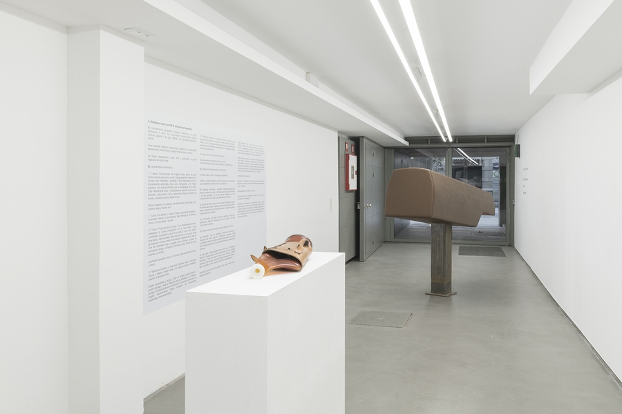 Núria Güell, El valor de la pureza, 2019. Vista de la exposición en ADN Galería, 2020. Foto: Roberto Ruiz. Cortesía de la artista y ADN