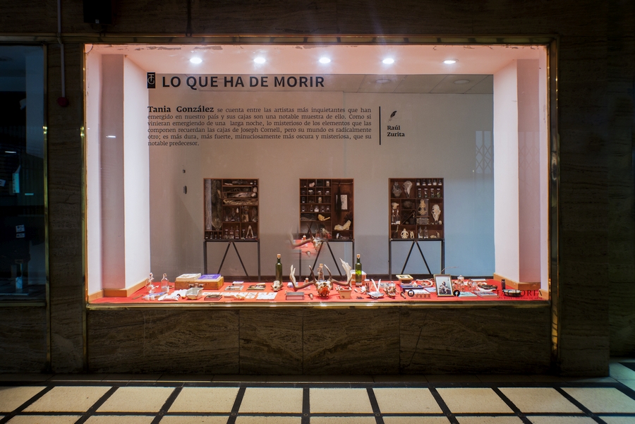 Vista de la exposición "Lo que ha de morir", de Tania González, en Proyecto Moneda, Santiago, 2020. Cortesía: PM/Factoría Santa Rosa