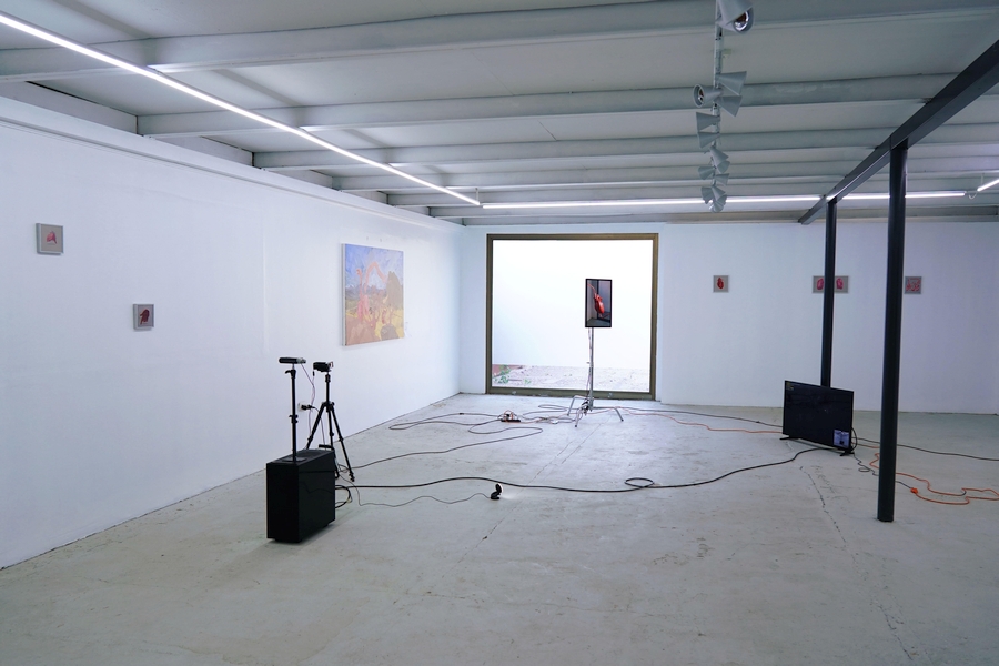 Vista de la exposición "La cosa extendida", de Cristóbal Cea, en Galería NAC, Santiago, Chile, 2020. Cortesía del artista